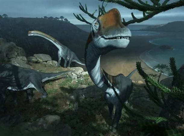 dinosaur